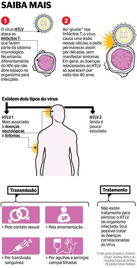 Exame De Sangue Htlv Transforme Sua Vida Fortune Rabbit Demo Pg Soft