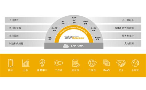 Sap Business Bydesign：适用于中小型企业的云端综合解决方案