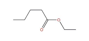Ethyl pentanoate - Alchetron, The Free Social Encyclopedia