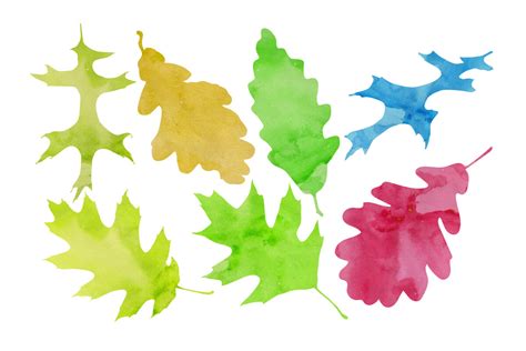 Watercolor Maple Leaf Graphic by tirthoanjolo · Creative Fabrica