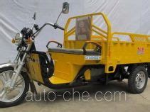 Chuanye Electric Cargo Moto Three Wheeler Product Range Motorcycles