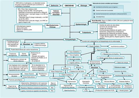 Mapa Conceptual De La Obesidad Andr Felipe Macedo Udocz