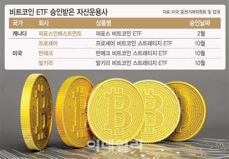 마켓인 비트코인 Etf가 孝子해외 자산운용사 Etf 신청 속속 다음뉴스