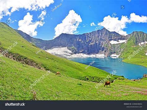 Greenery Rural Pakistan Stock Photos And Pictures 373 Images