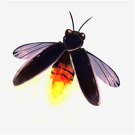 Summer Nights Hd Transparent Summer Night Flying Fireflies Firefly