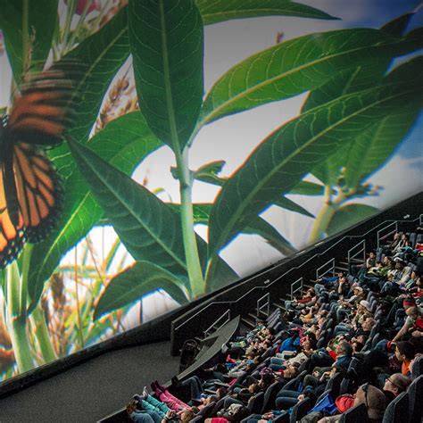 Immersive Storytelling Giant Screen Films