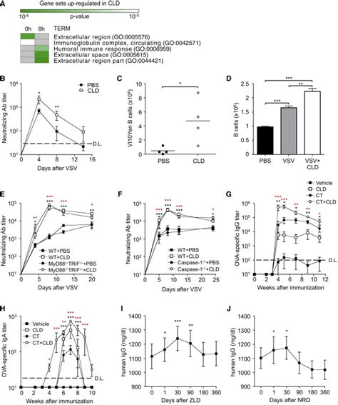 Bisphosphonates Directly Target B Cells And Enhance B Cell Expansion