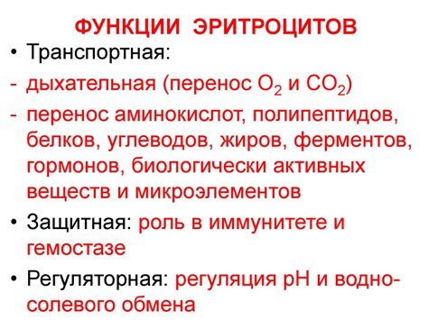 Эритроциты. Физиология эритрона - презентация онлайн