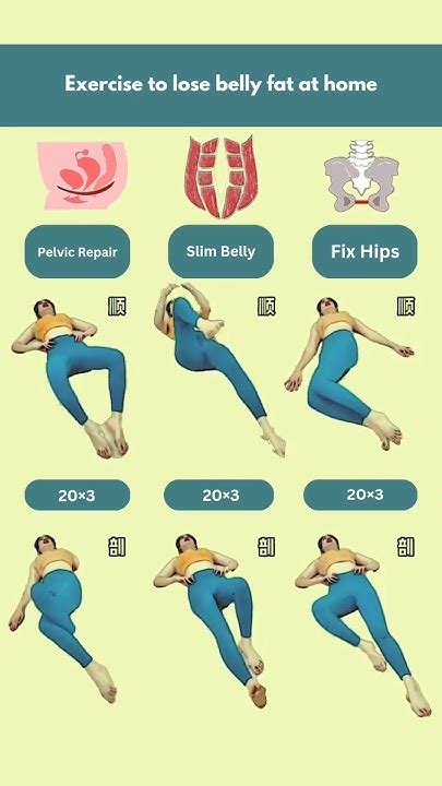 Exercise To Lose Belly Fat At Home🏠 Exercise Bellyfat Bellyfatloss