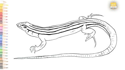 Desert Grassland Whiptail Lizard Drawing Easy How To Draw A Lizard