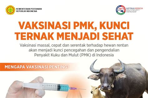 Vaksinasi PMK Kunci Ternak Menjadi Sehat Infografik Katadata Co Id