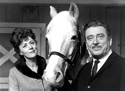 Mister Ed Full Cast And Crew Tv Guide