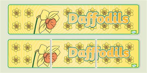 Daffodils Display Banner Professor Feito Twinkl