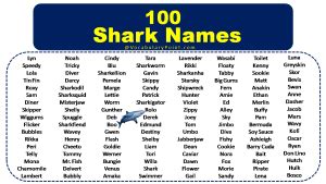 100+ Best Shark Names (Male, Female & Cartoon) - Vocabulary Point