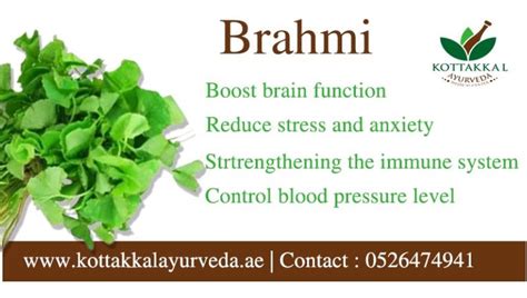 Brahmi Ayurvedic Medicine Ayurveda Clinic Near Me Kottakkal