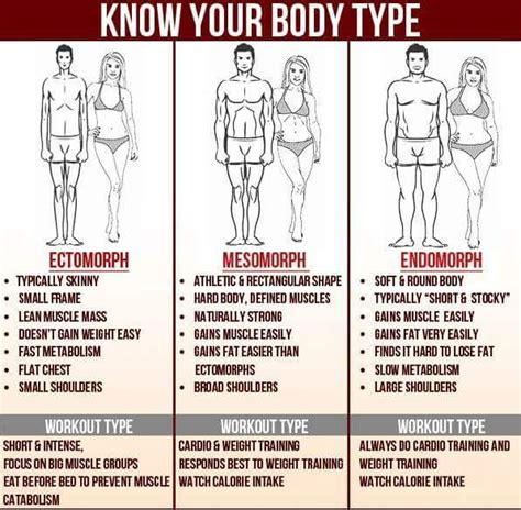 Know Your Body Type Body Type Workout Body Body Types