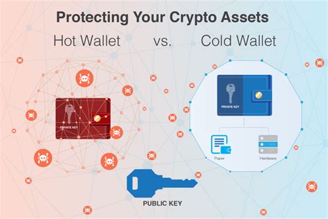 Hot Wallet Vs Cold Wallet Best Way To Store Cryptocurrency Bitira