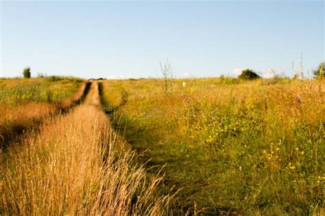 277 Two Track Dirt Road Country Stock Photos Free And Royalty Free