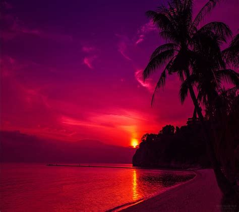 Tropical Paradise Paradise Tropical HD Wallpaper Peakpx