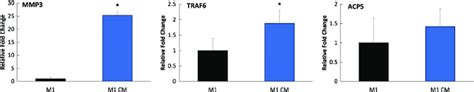 Gene expressions of osteoclastogenic markers from macrophages cultured ...