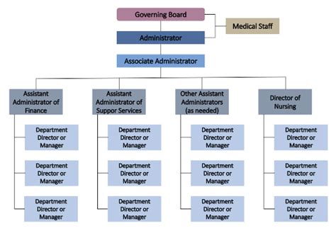 The Organizational Structure of a Hospital