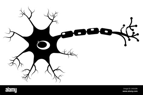 Neuron Icon On White Background Human Neuron Cell Sign Brain Neuron