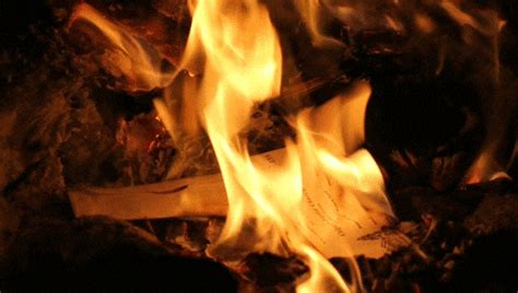 Paper Burn GIFs - Find & Share on GIPHY