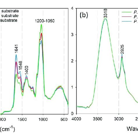 Recorded Attenuated Total Reflectance Atr Ftir Spectra Of A Download Scientific Diagram