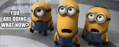 Minion Surprised Imgflip