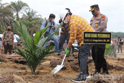 Foto Menko Perekenomian Airlangga Hartarto Tanam Sawit Di Libo Jaya Riau