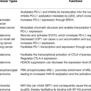 | Lysine acetylation/deacetylation process that mediated by HATs and ... 