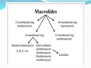 Macrolide antibiotics | PPT