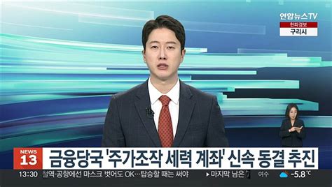 금융당국 주가조작 세력 계좌 신속 동결 추진 동영상 Dailymotion