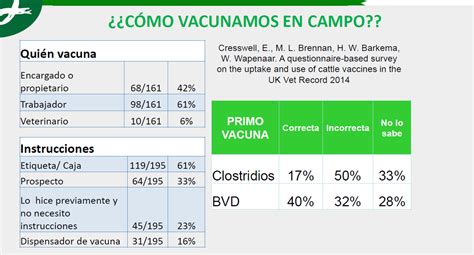 Puntos de mejora en la vacunación del ganado vacuno Campo Galego