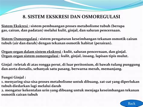 Biologi Anatomi Ikan Nila Hitam Ppt