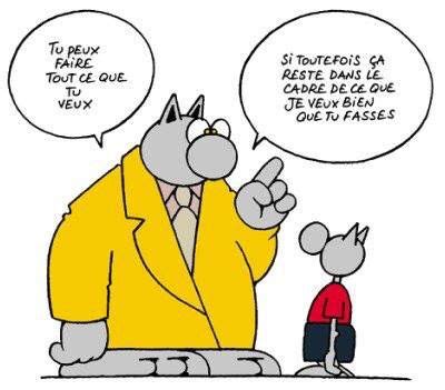 Tu Peux Faire Tout Ce Que Tu Veux Le Chat Geluck Philippe Geluck