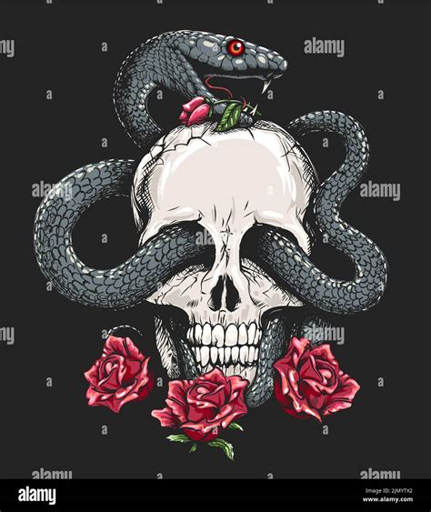 Human Skull With Snake And Roses On Black Background Vector