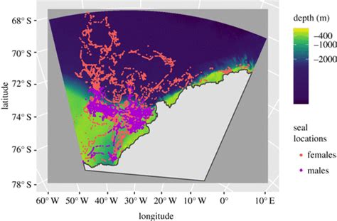 Sex Specific Variation In The Use Of Vertical Habitat By A Resident