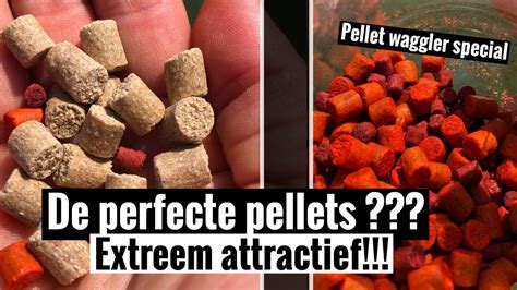 De Meest Attractieve Pellets Voor Het Vissen Op Brasems En Karpers