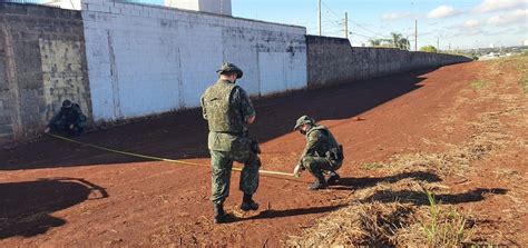 Operação Da Polícia E Mp Apura Supostas Irregularidades No Plantio De