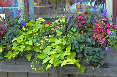 6 Simple And Effective Ideas For Planter Boxes