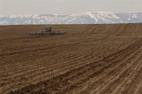 Beet Planting Around the Corner | Sugar Producer Magazine