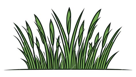 Premium Vector Green Grass Silhouette Isolated On A White Background