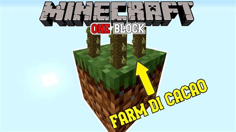 Farm Di Cacao Minecraft Skyblock Ma Su Un Blocco Infinito YouTube