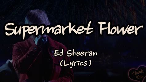 Ed Sheeran Supermarket Flowers Lyrics Youtube