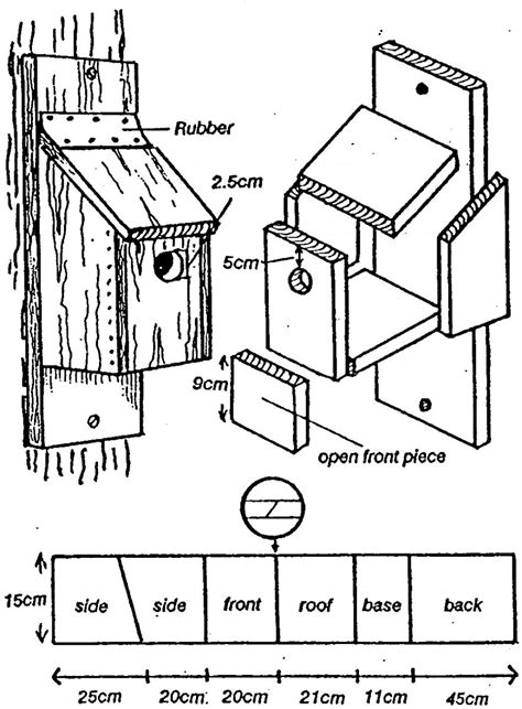 Plans For A Bird Box