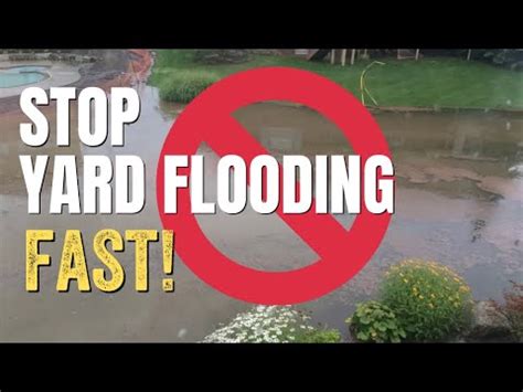 How To Drain A Flooded Backyard Prevent Yard Flooding With Pump