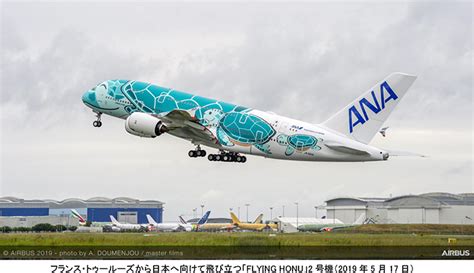 エアバスa380型機「flying Honu」の2号機を受領しました｜プレスリリース｜anaグループ企業情報 Aviation News