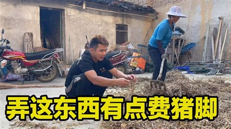 老妈种的黄豆丰收了，男二号邀请大家来吃，但是要带猪脚的【男二号v】 Youtube