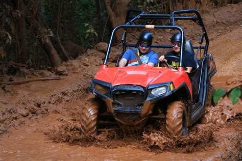 Going To Jamaica Yaaman Adventure Park Awaits You With Fun Activities